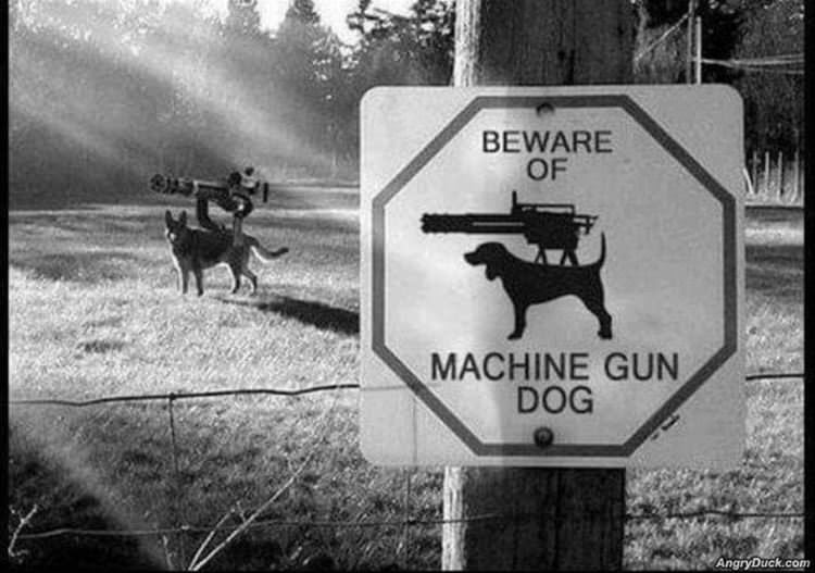 Beware Of The Dog