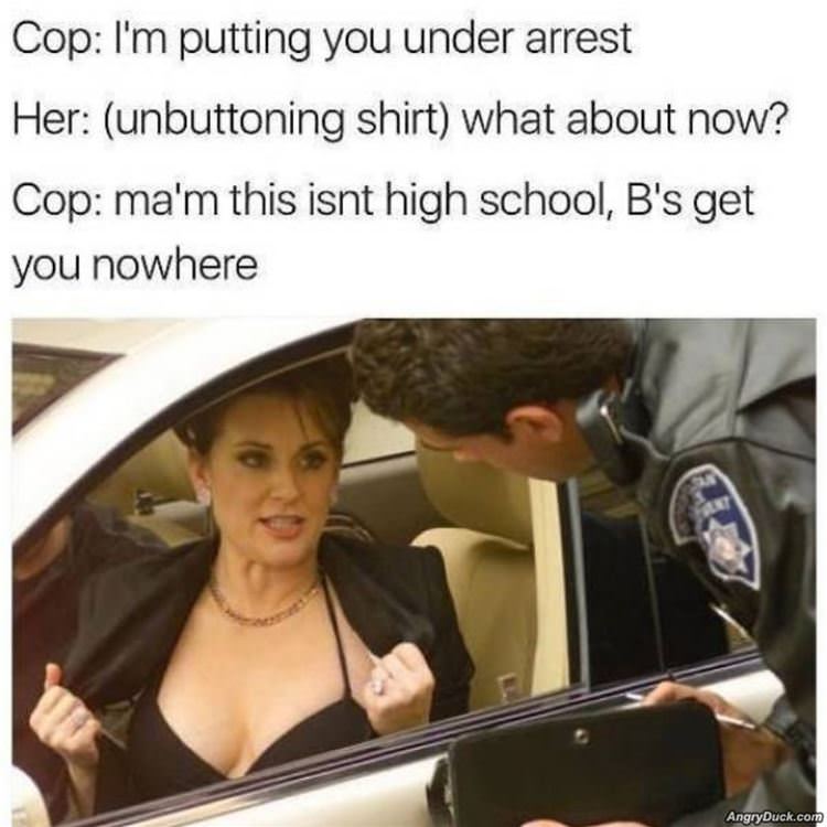 Putting You Under Arrest