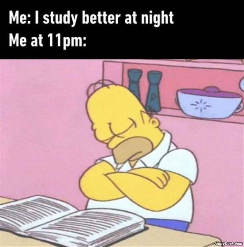 I Study Better At Night