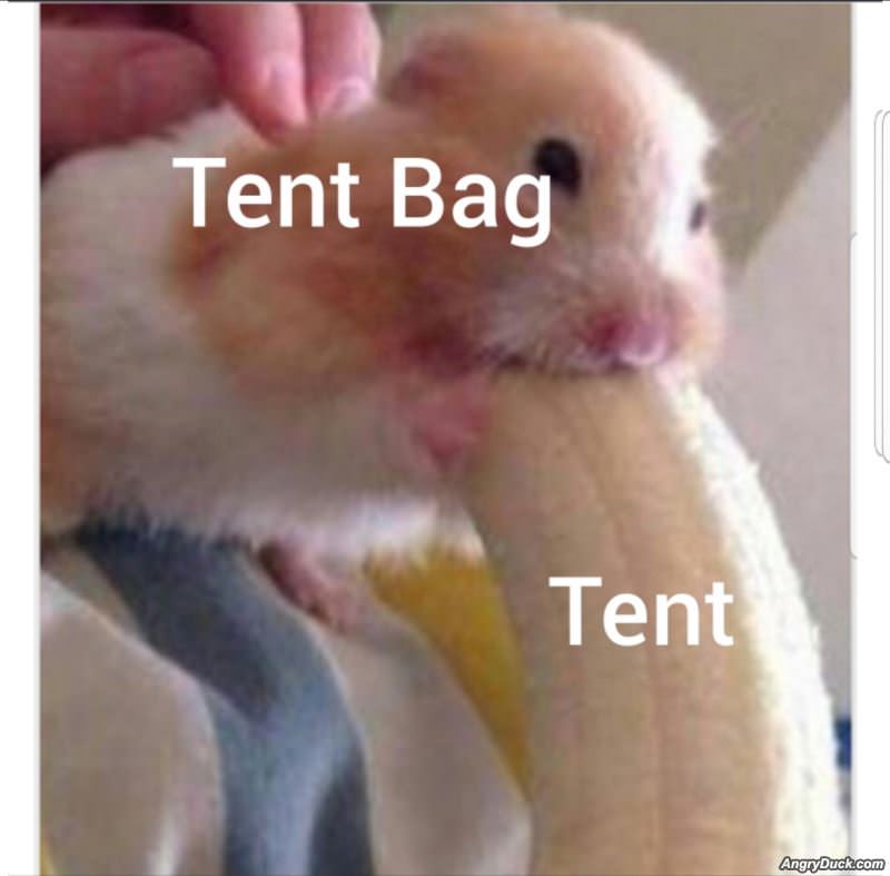 Tent Bag