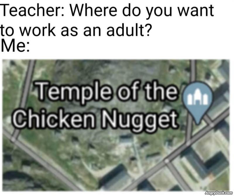 Where Do You Want To Work