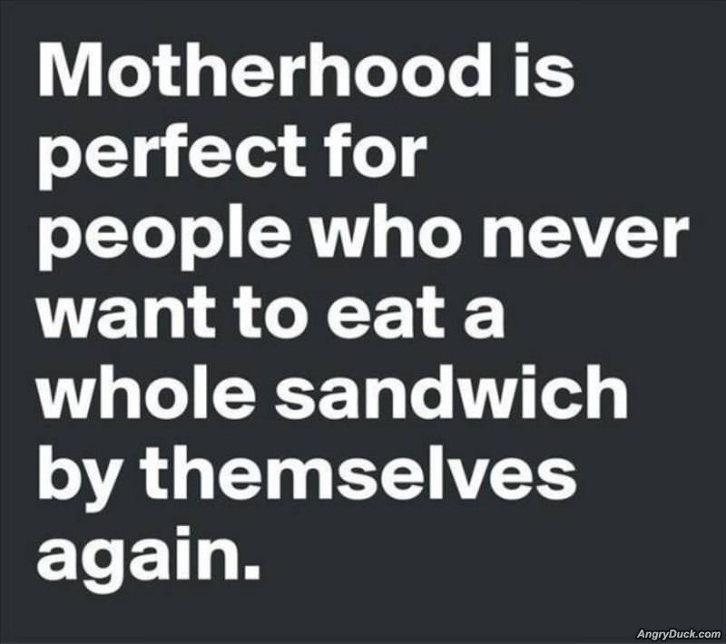 Motherhood Is Perfect