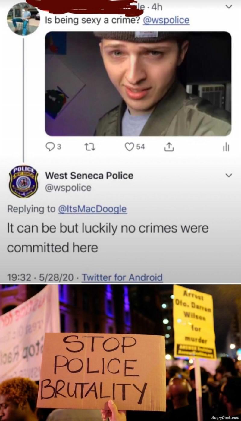 No Crimes Here