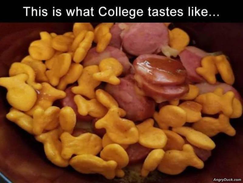 What College Tastes Like