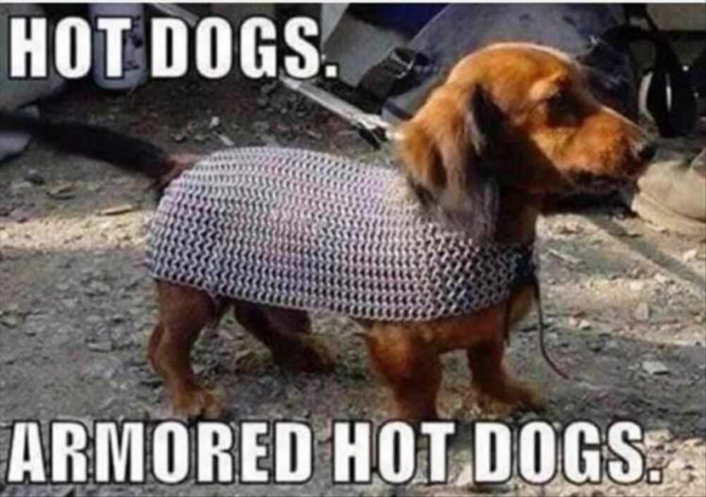 hot dogs