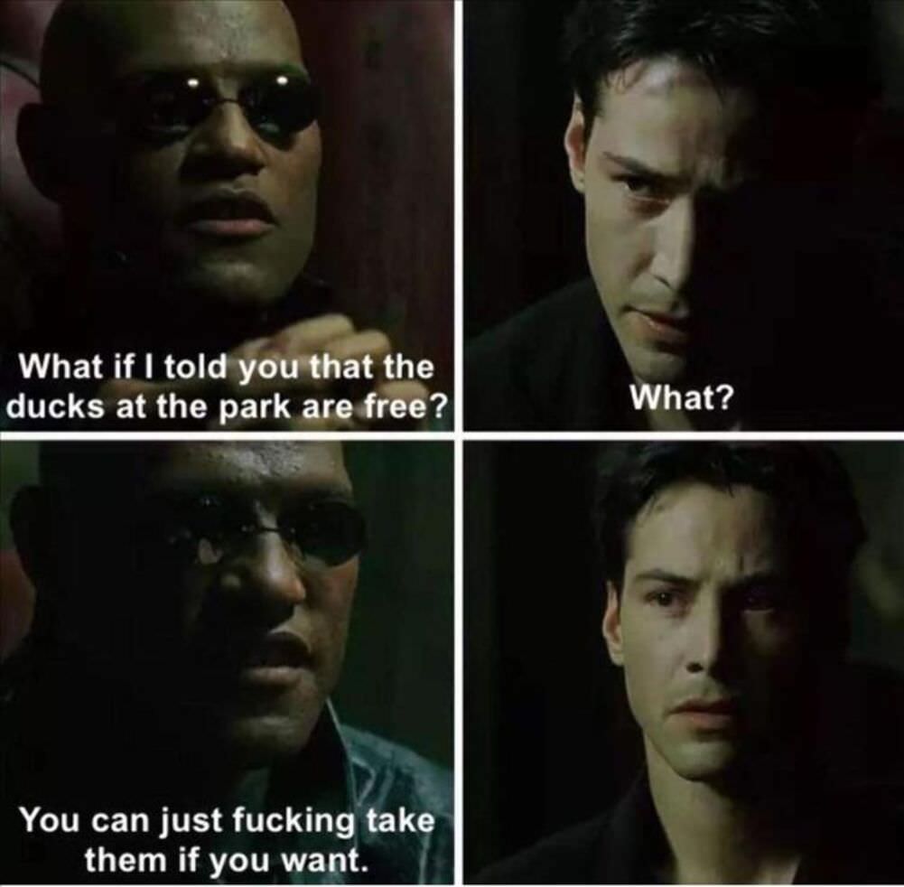 what if i told you