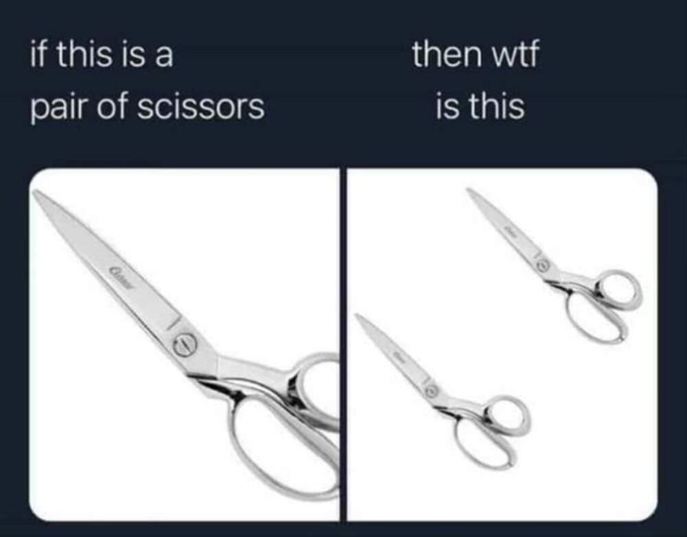 a pair of scissors