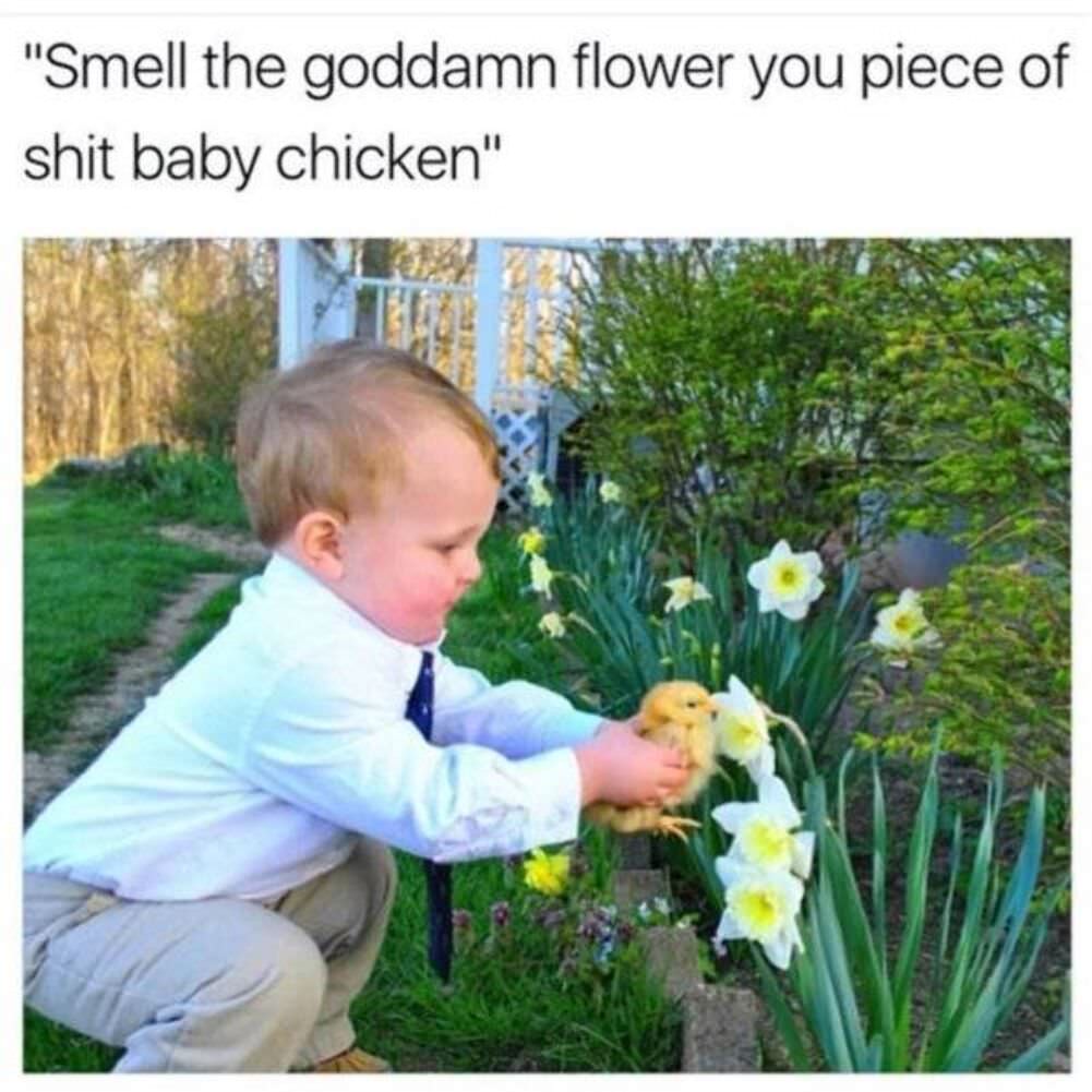 smell the flower