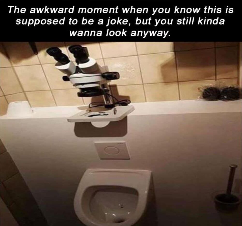 the awkward moment