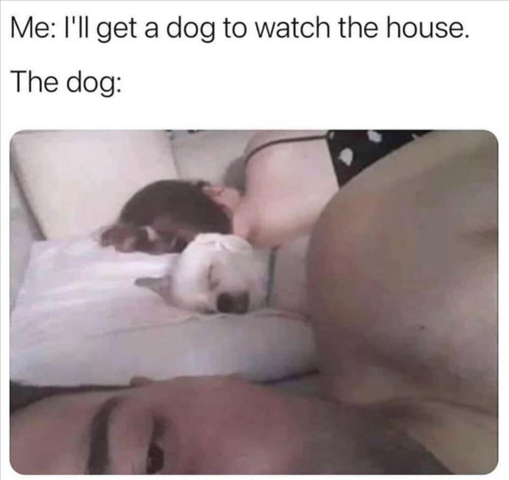 watching the house