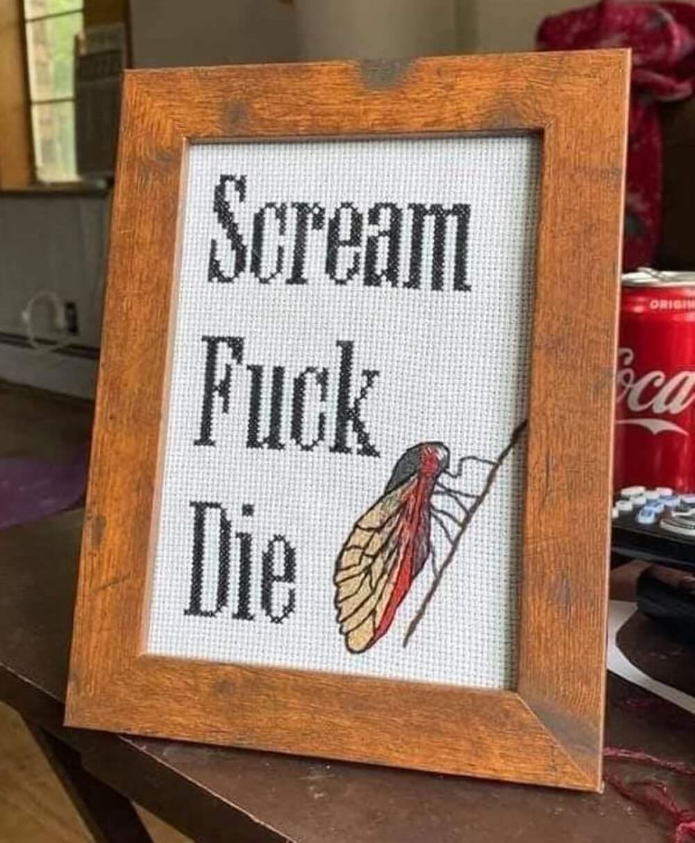 cicada life