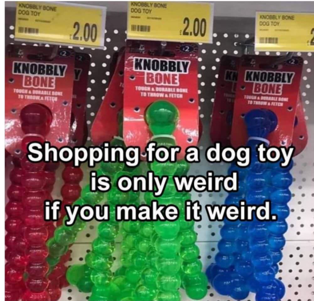 shopping for a dog toy