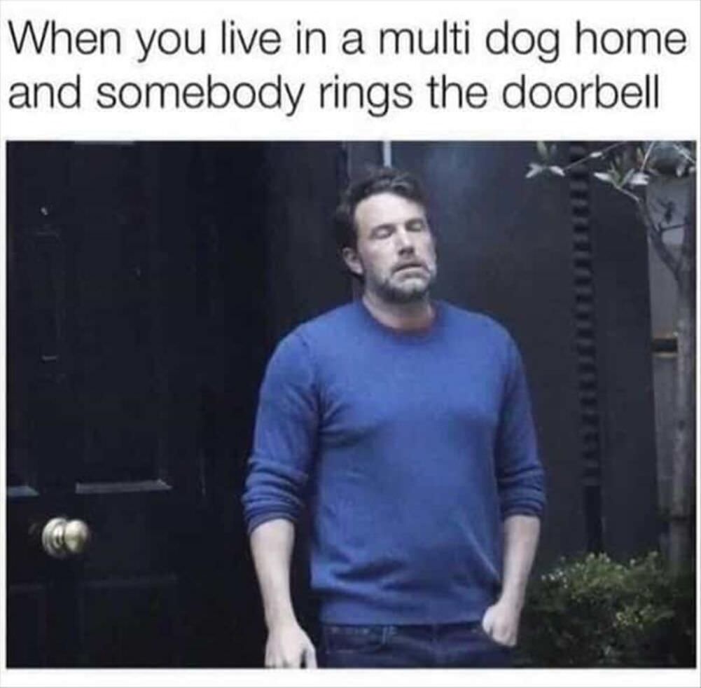 stop ringing the doorbell