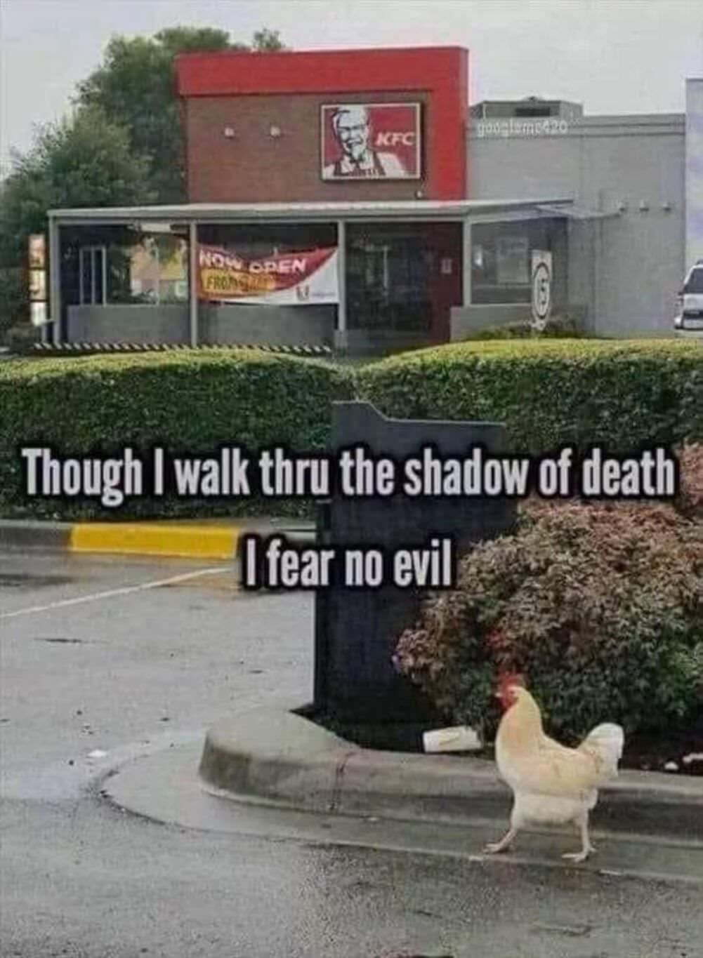 the shadow of death