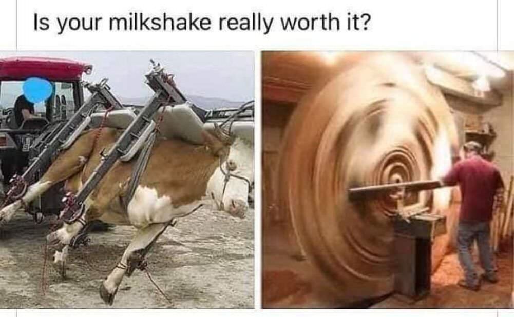 is your milkshake worth it