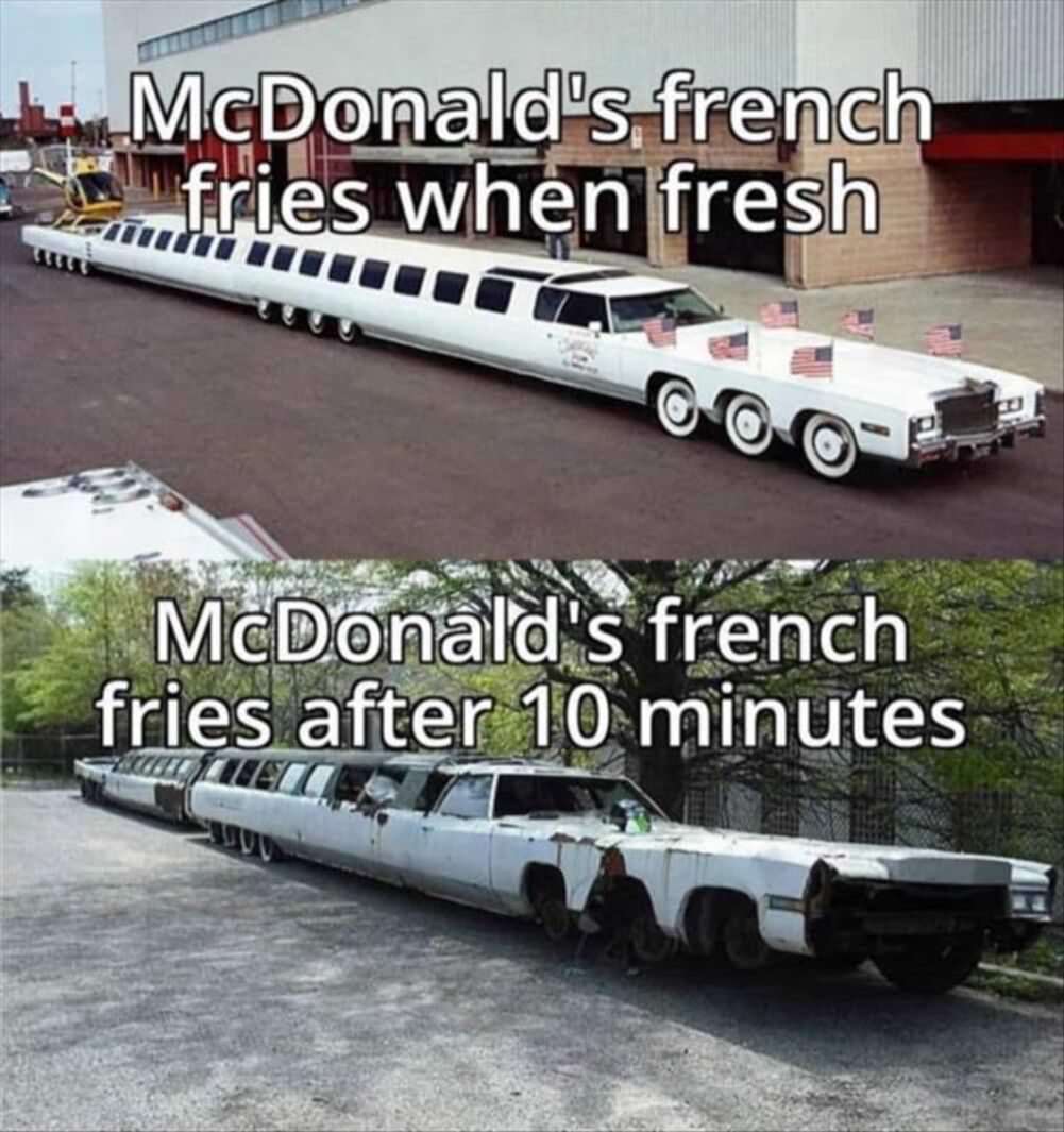 mcdonalds french fries