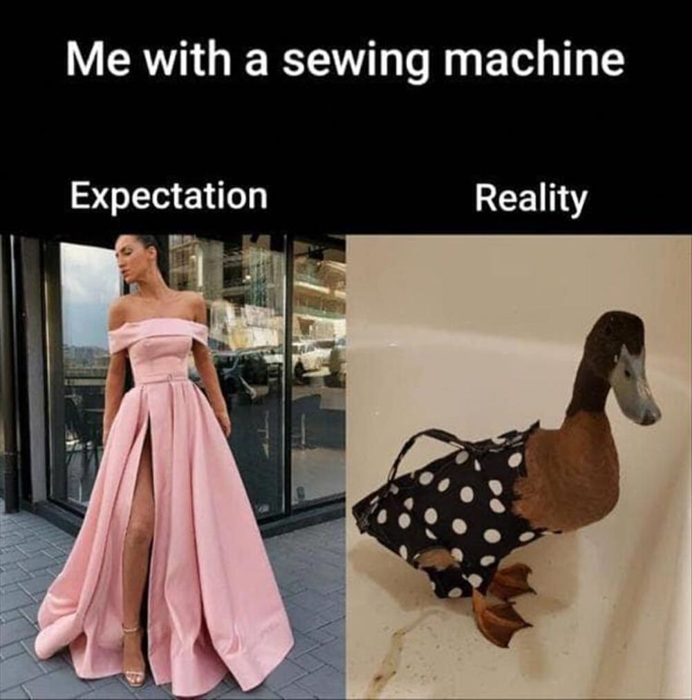 expectations vs reality