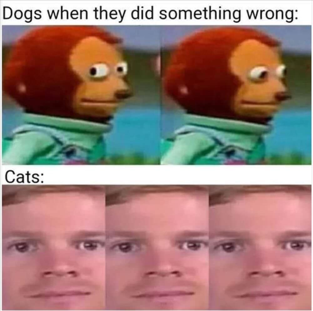 did something wrong