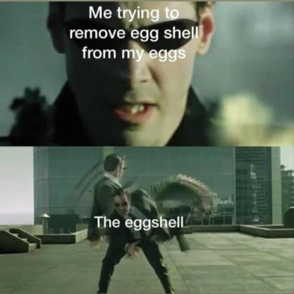 the eggshell