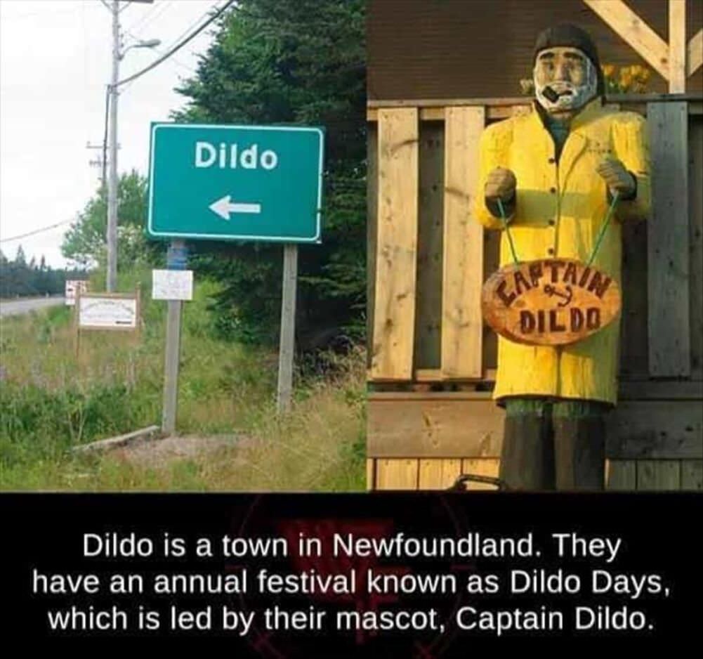 dildo