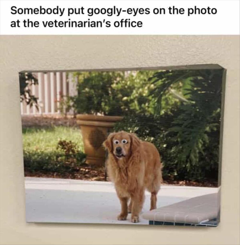 the googly eyes