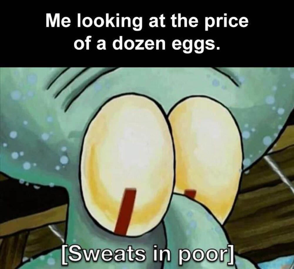 the price of a dozen eggs