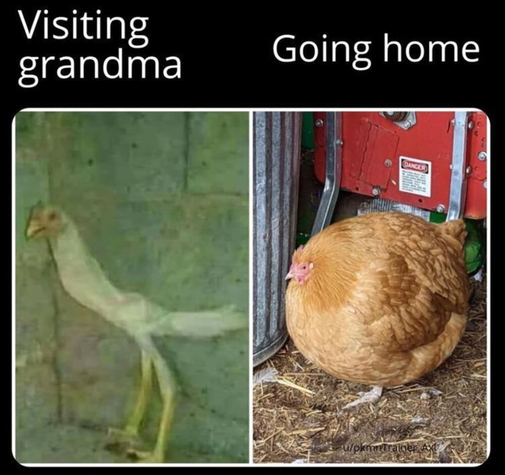 visiting grandma