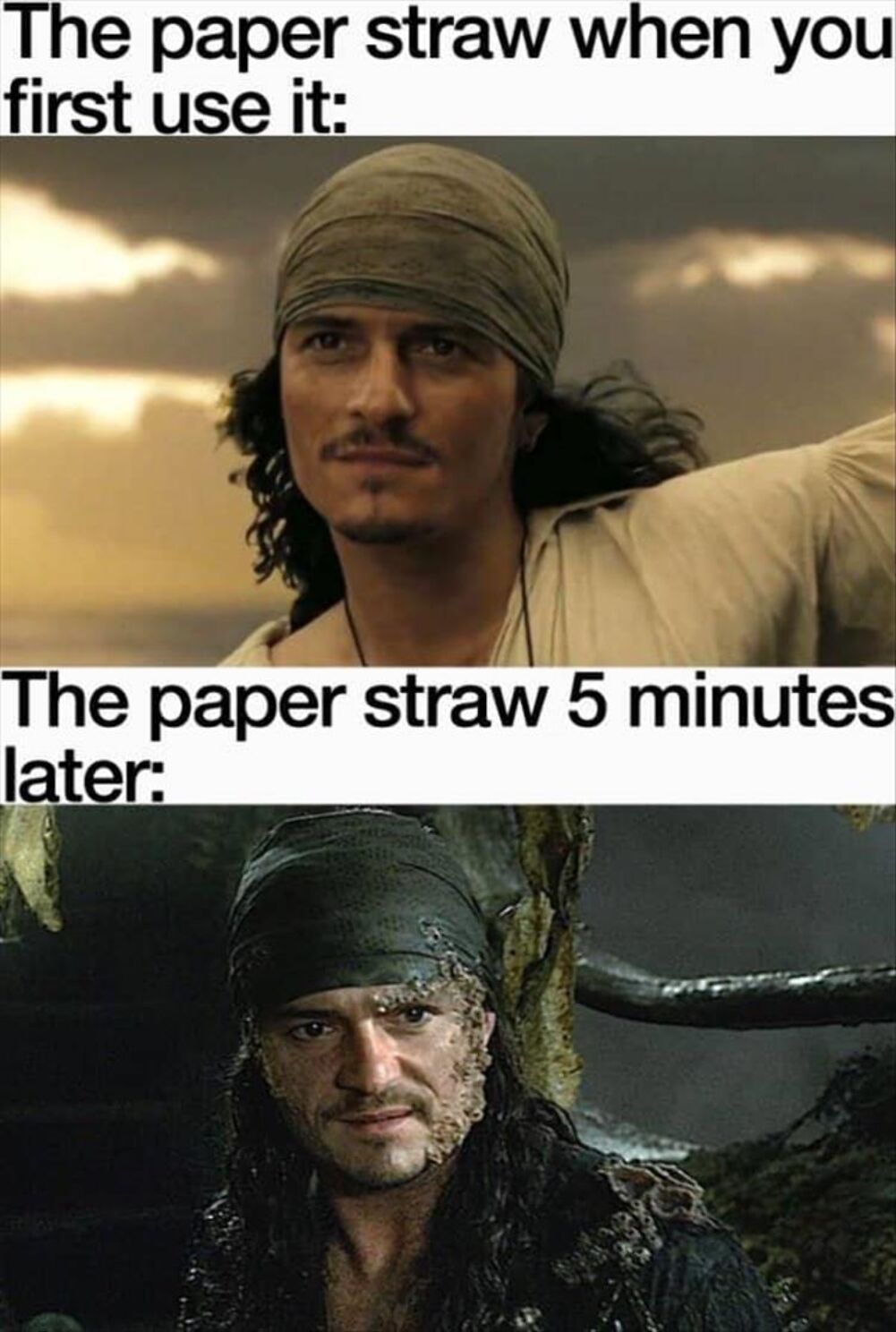 the paper straw