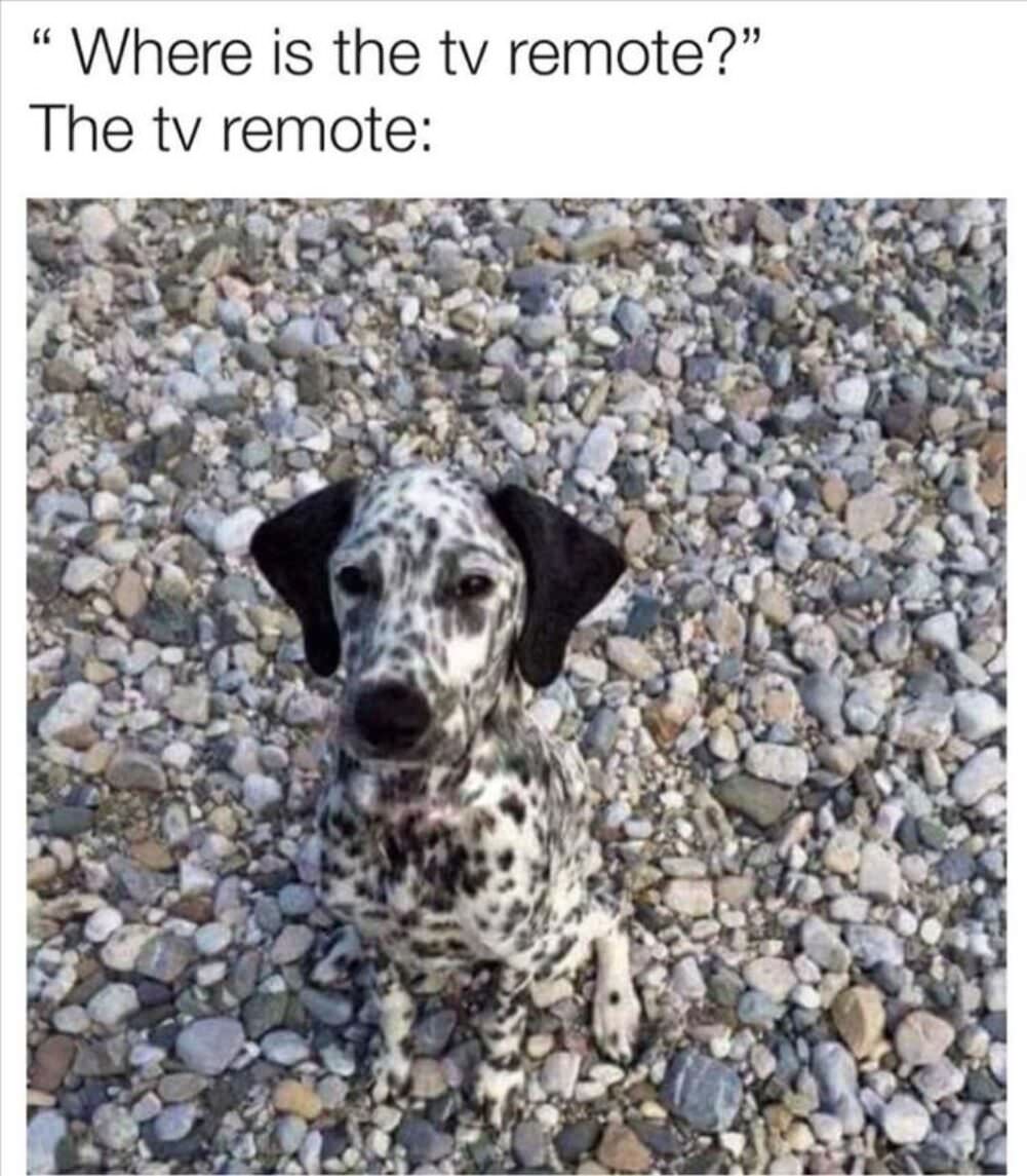 you-looking-for-the-remote