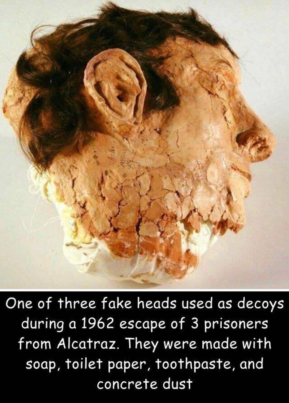 one of the fake heads