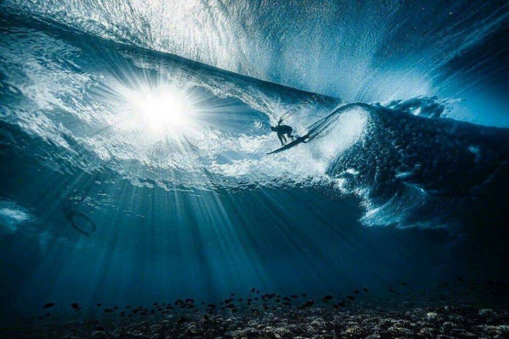 surfing from under the sea