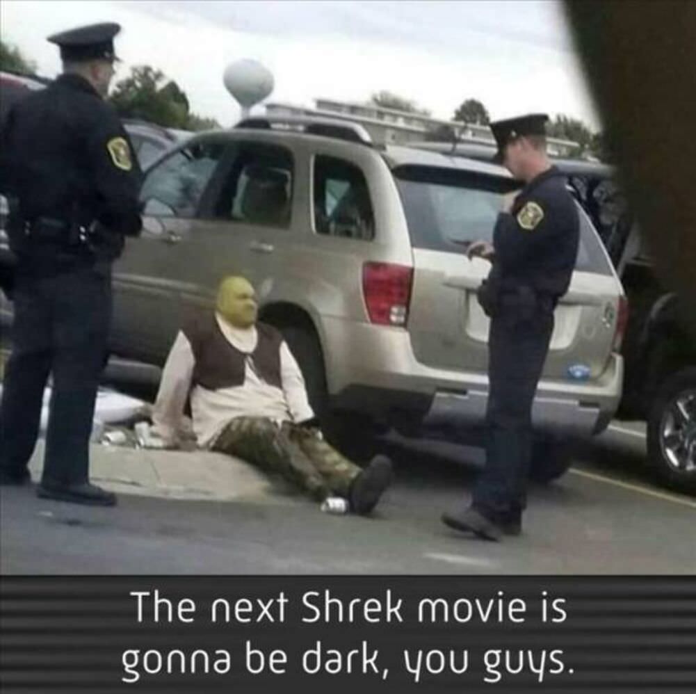 the next shrek movie