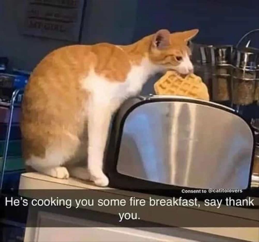 cooking you some breakfast