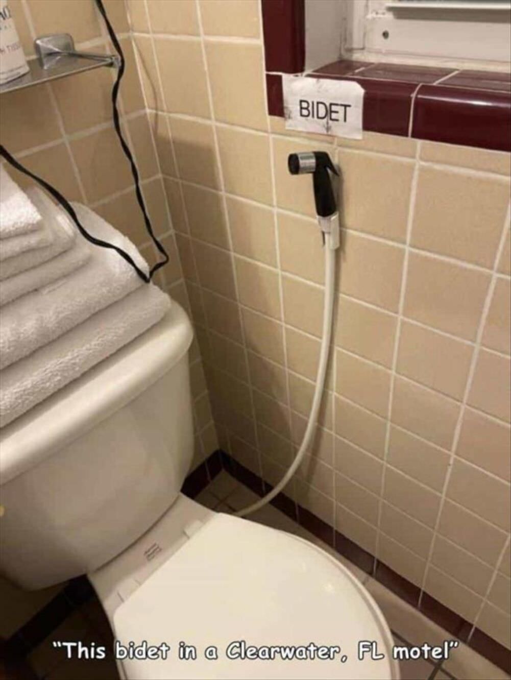 the bidet