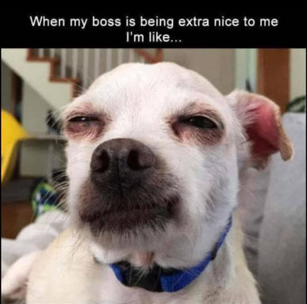 being extra nice