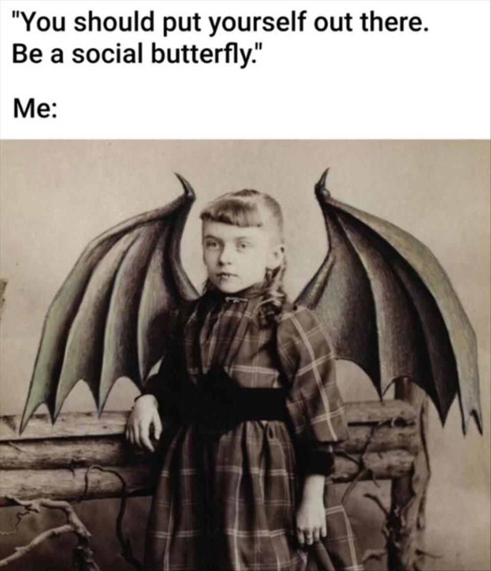 butterfly