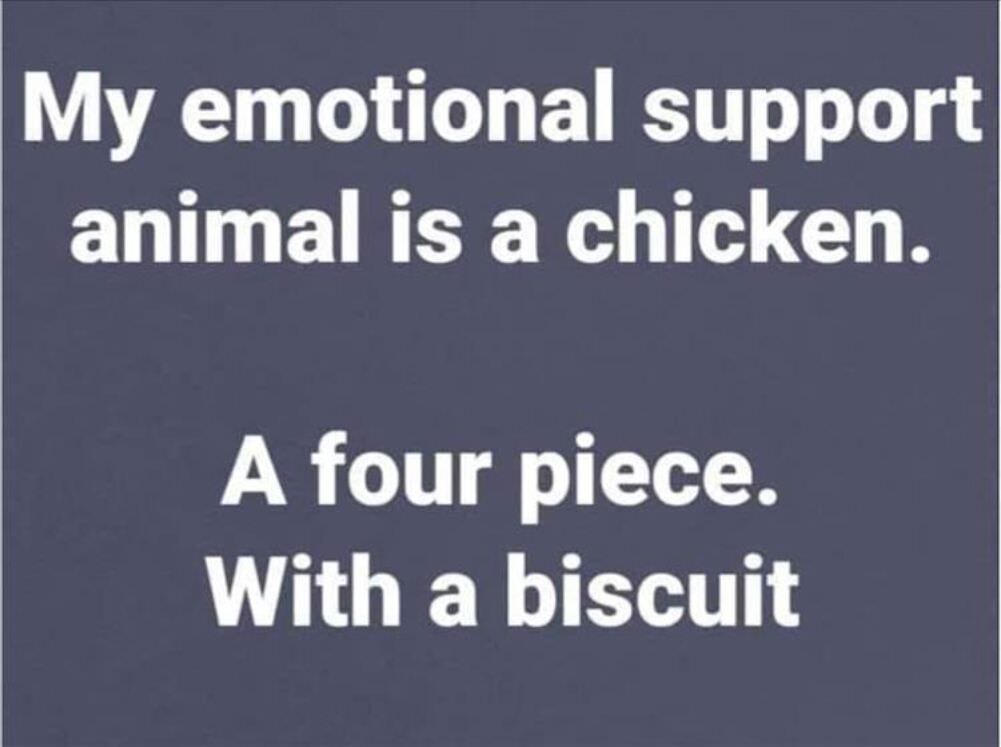 emotional support animal