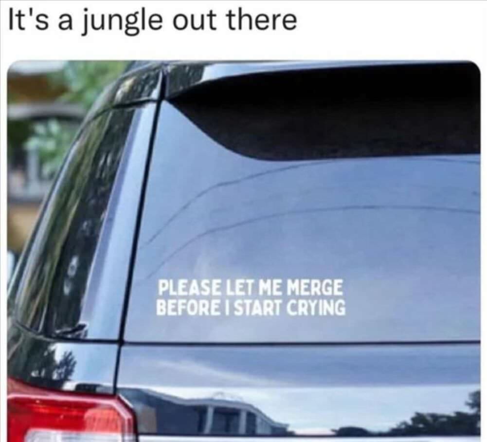 jungle out there