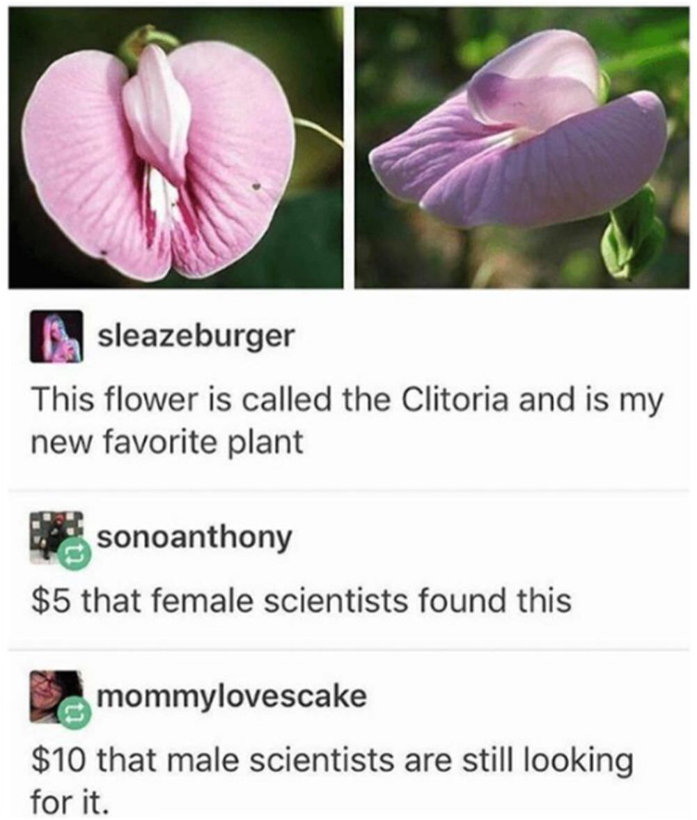 this flower