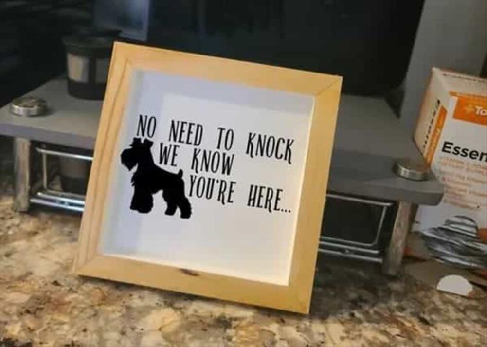 no need to knock