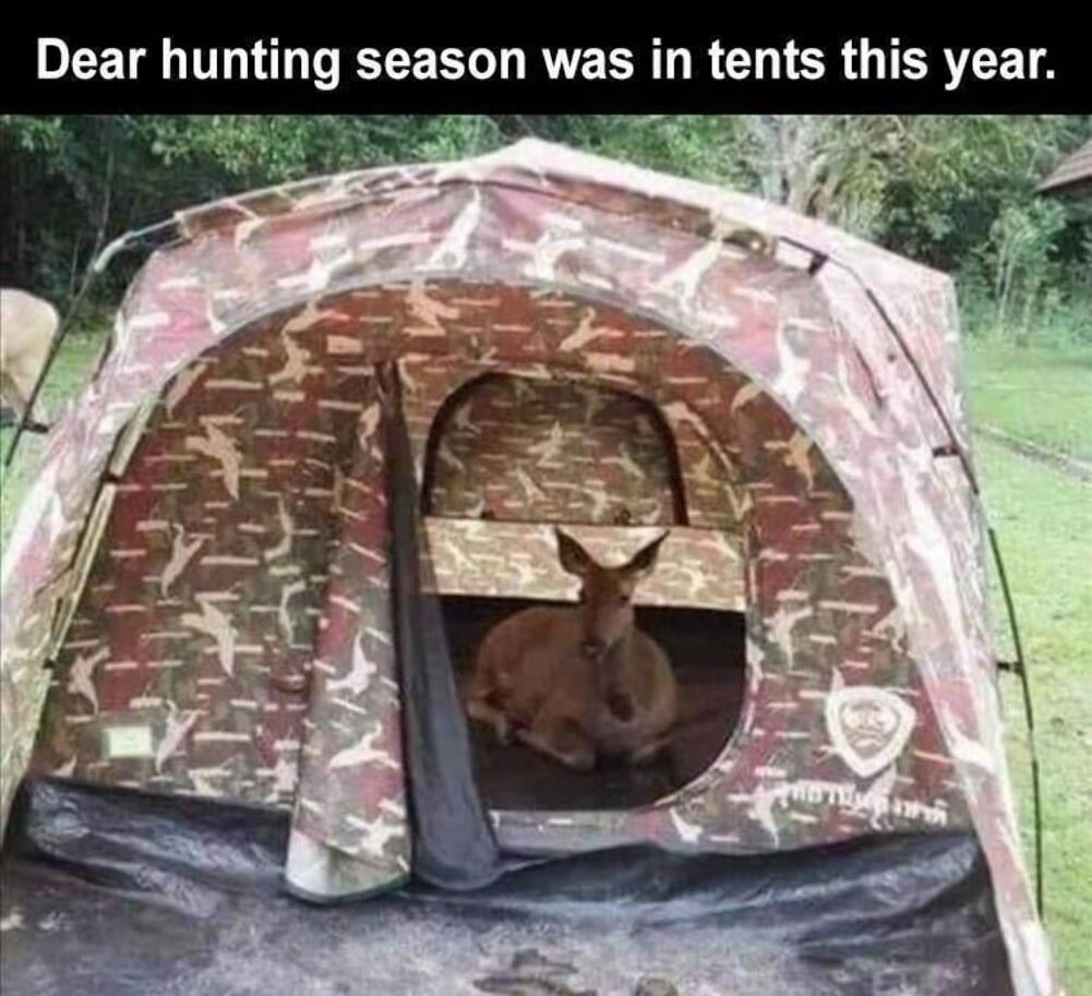 dear hunting