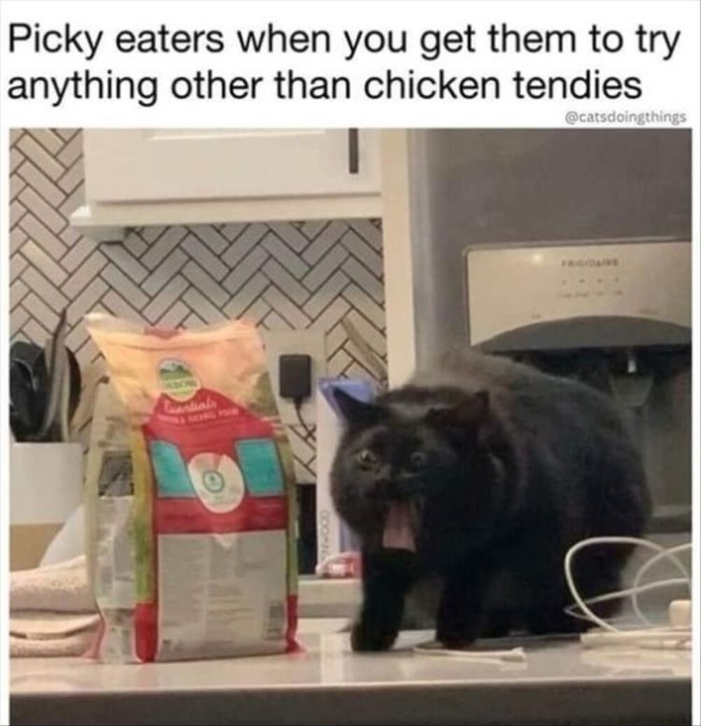 picky eaters