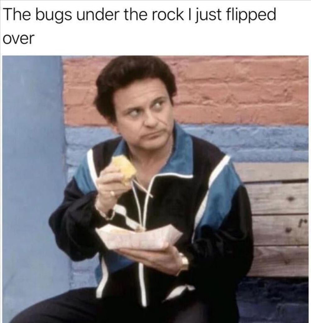 the bugs