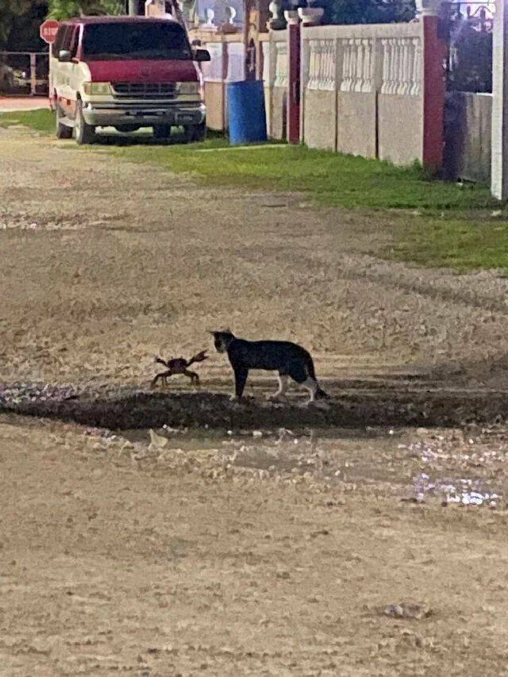 the stand off