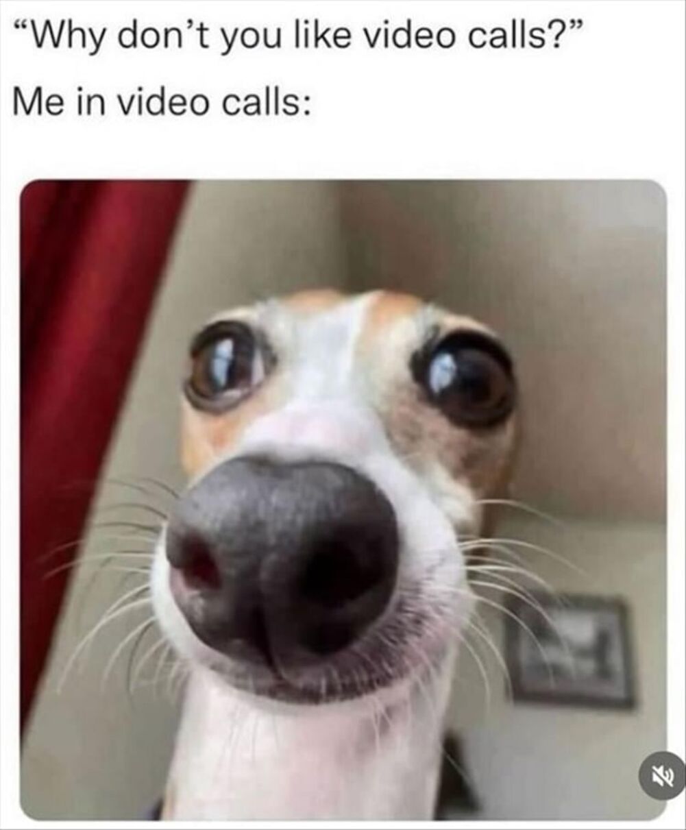 video calls