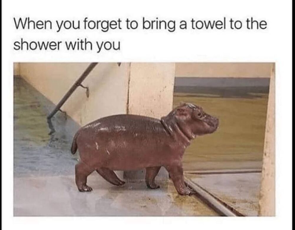 forgot the towel