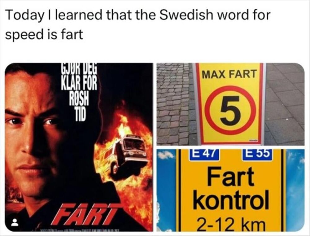 the swedish word