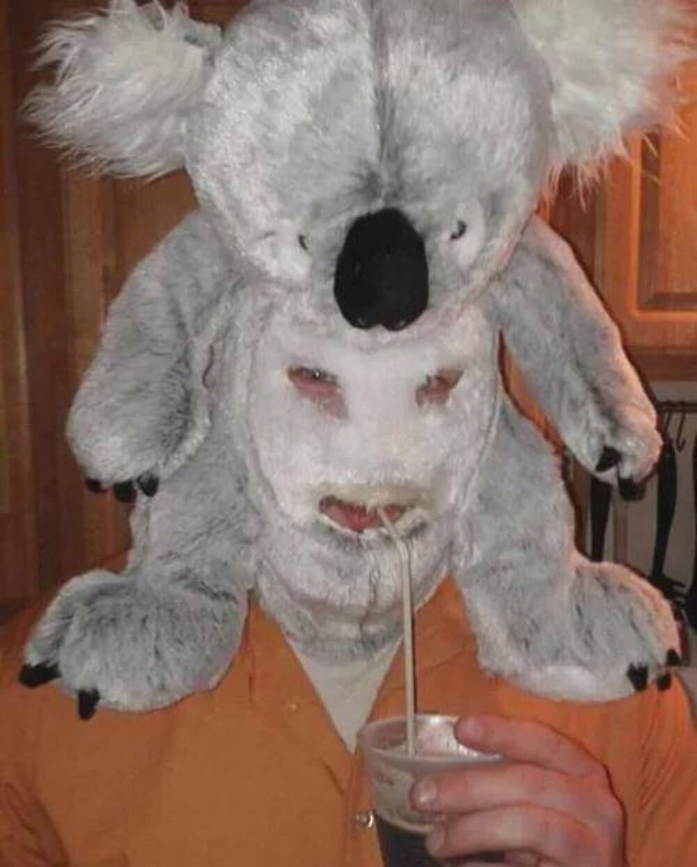 koala man