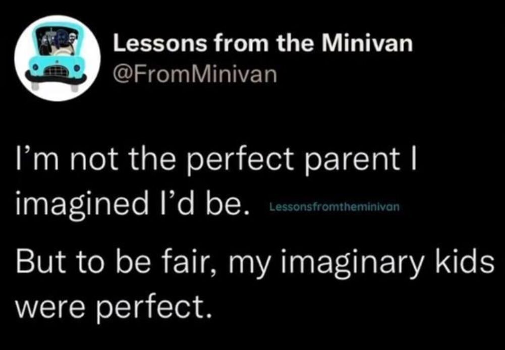 not a perfect parent