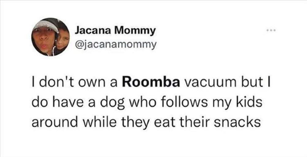 a roomba